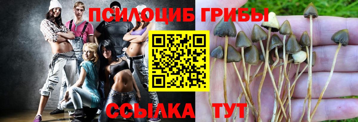 Строитель  Галлюциногенные грибы Magic Shrooms  Псилоцибиновые грибы мухоморы  Вход с VPN 