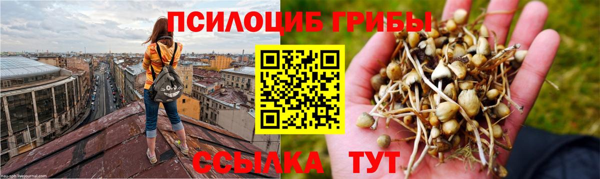 Галлюциногенные грибы мицелий Строитель
